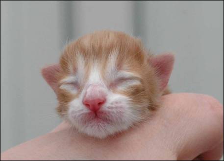 B-kull_10timer_kompress-19