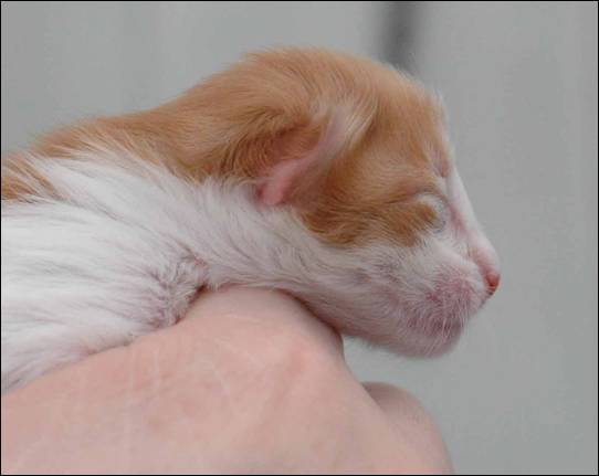 B-kull_10timer_kompress-24