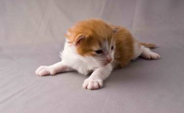 B-kull_2uker_kompress-28