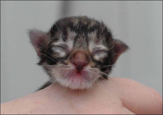 B-kull_10timer_kompress-27