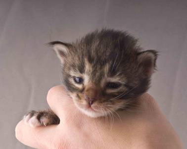 B-kull_2uker_kompress-29