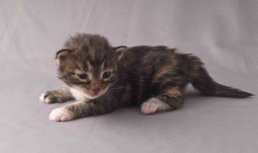 B-kull_2uker_kompress-39