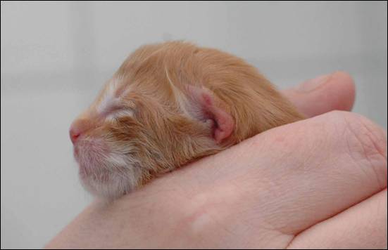 B-kull_10timer_kompress-14