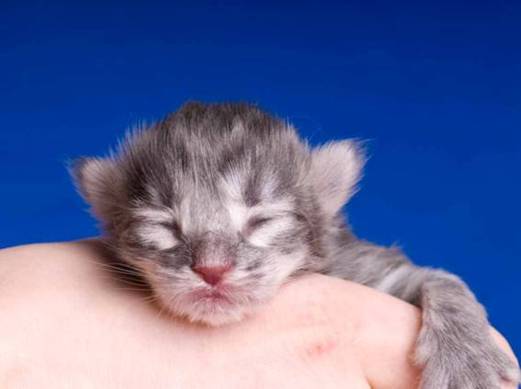 image047