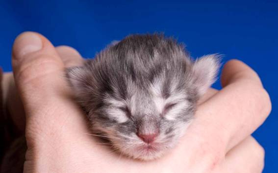 image051