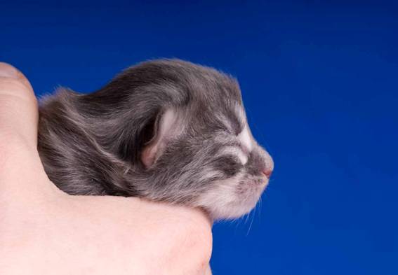 image053