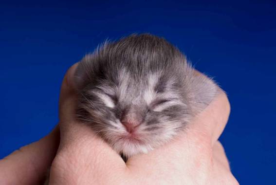 image025