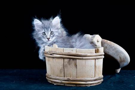 image039