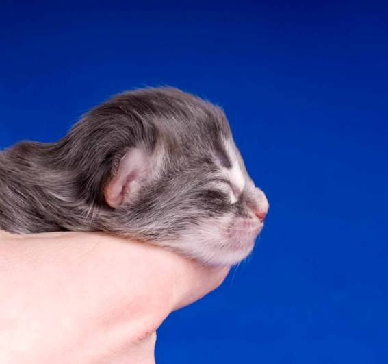 image041