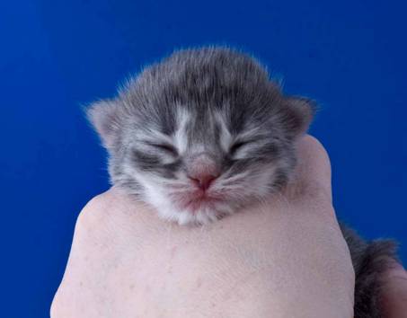 image039