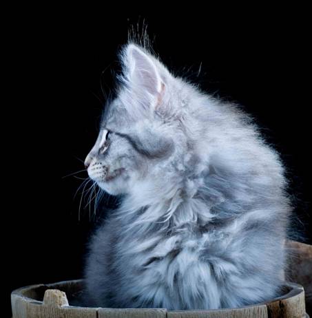 image073