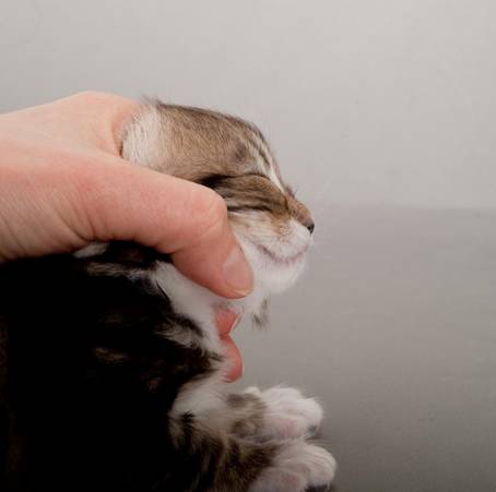 image028