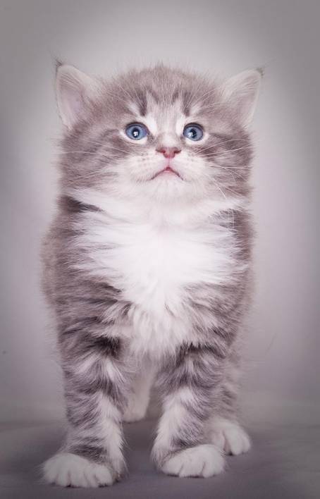 image084