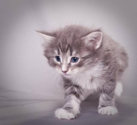 image085