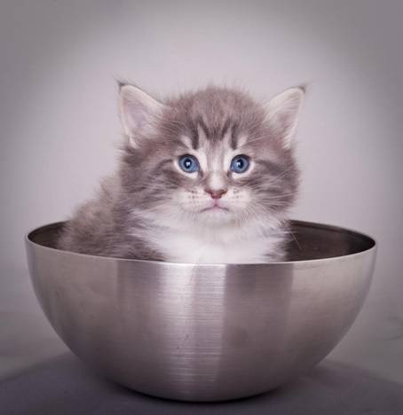 image089