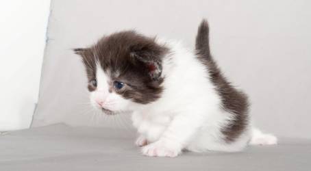image046