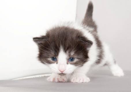 image050