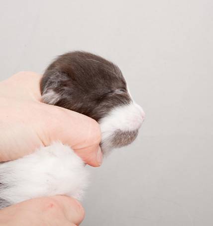 image054