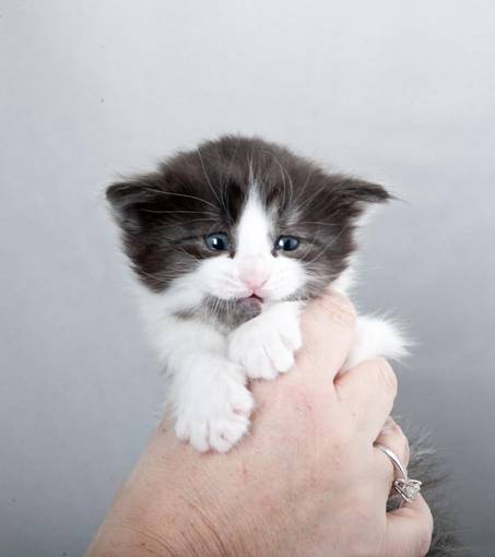 image064