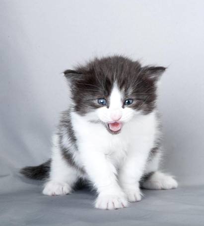 image074