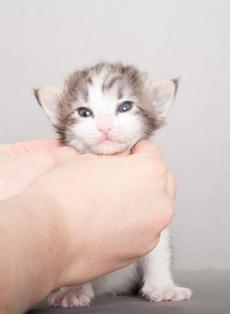 image040