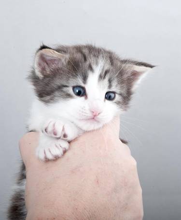 image060