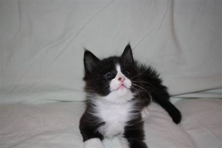 Ferdinand_049
