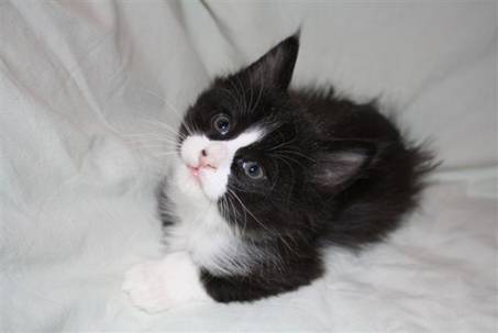 Ferdinand_045
