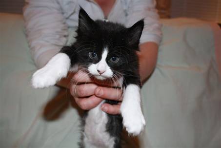 Ferdinand_039