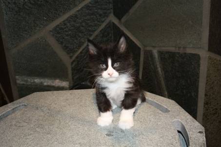 Ferdinand_057