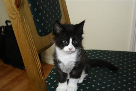 Ferdinand_008