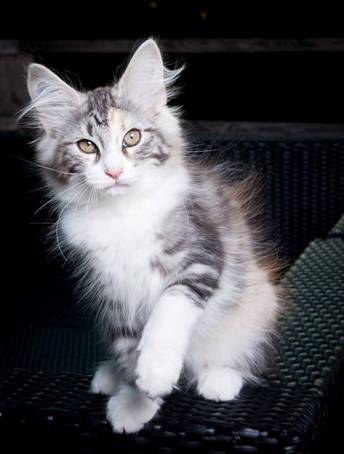 20100722_j-kull_22jul2010_004