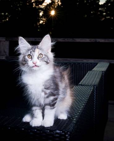 20100722_j-kull_22jul2010_003