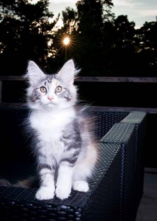 20100722_j-kull_22jul2010_001