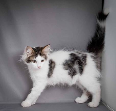 20100722_j-kull_22jul2010_025