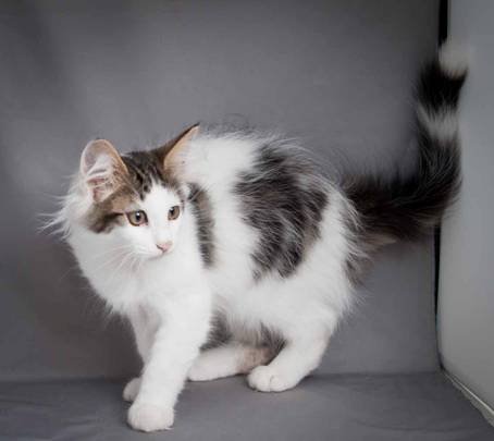 20100722_j-kull_22jul2010_024