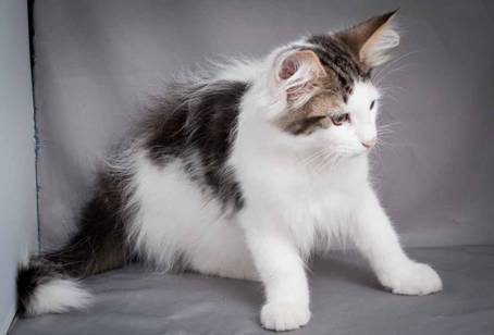 20100722_j-kull_22jul2010_022