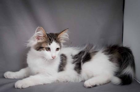 20100722_j-kull_22jul2010_021