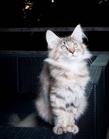 20100722_j-kull_22jul2010_018