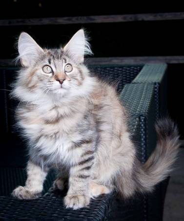 20100722_j-kull_22jul2010_016