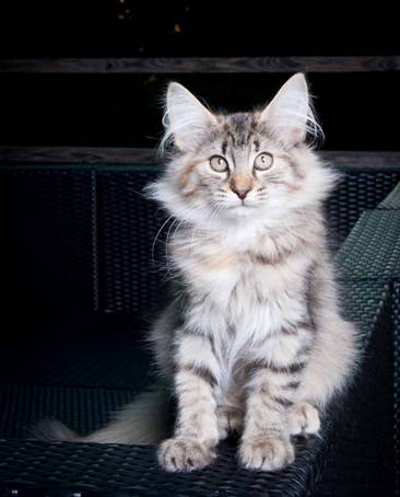 20100722_j-kull_22jul2010_019