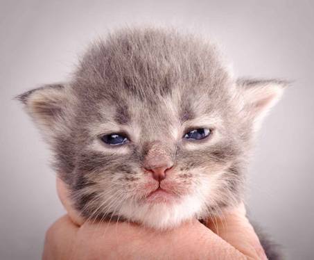 Description: J:\Pictures\K-kull\K-kull_2_weeks\20101115_K-kull_2_weeks_0103.jpg