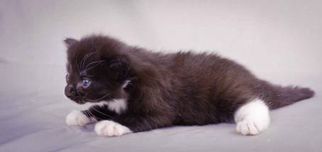 Description: J:\Pictures\L-kull\L-kull_3weeks\20101129_L-kull_3weeks_011.jpg