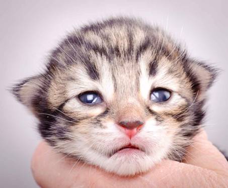 Description: J:\Pictures\M-kull\M-kull_1week\m-kull 1 week-009.jpg