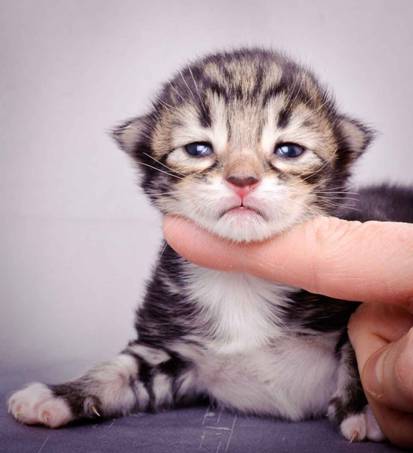 Description: J:\Pictures\M-kull\M-kull_1week\m-kull 1 week-007.jpg