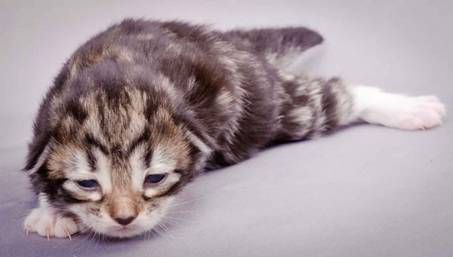 Description: J:\Pictures\M-kull\M-kull_1week\m-kull 1 week-044.jpg