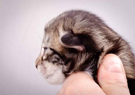 Description: J:\Pictures\M-kull\M-kull_1week\m-kull 1 week-035.jpg