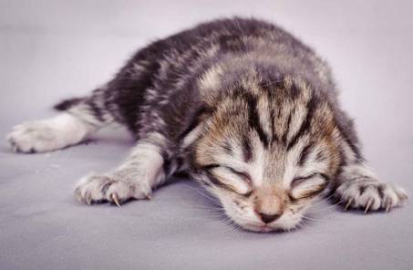 Description: J:\Pictures\M-kull\M-kull_1week\m-kull 1 week-056.jpg