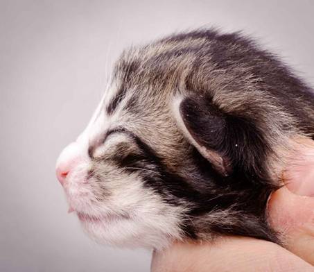 Description: J:\Pictures\M-kull\M-kull_1week\m-kull 1 week-085.jpg