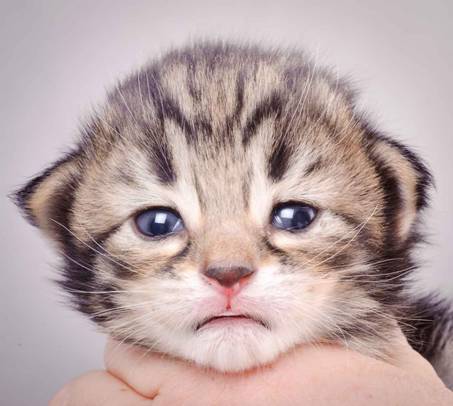 Description: J:\Pictures\M-kull\M-kull_2_weeks\20101203_M-kull_2_weeks_0007.jpg